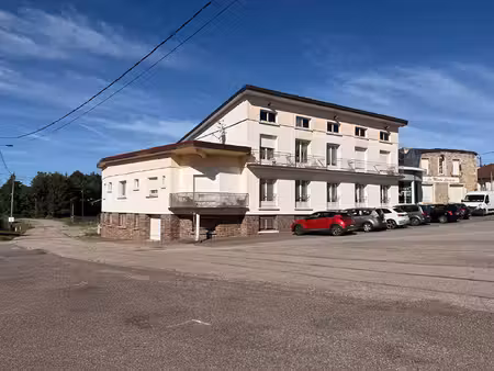 vente immeuble 30 pièces  700.00m²  la vôge