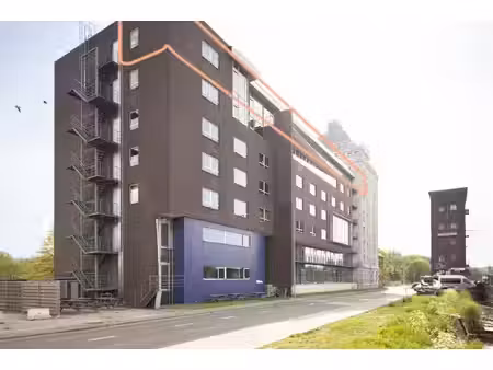viva immo - leven in vastgoed