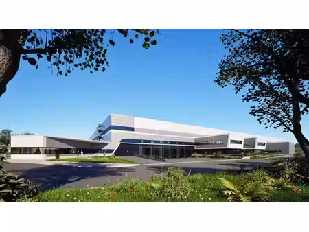location entrepôt damblain 88320 6000m² à 18000m²