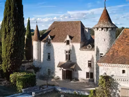 vente château bordeaux 12 pièces 1000 m²