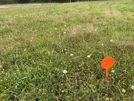vente terrain à bourg-blanc (29860) : à vendre / bourg-blanc