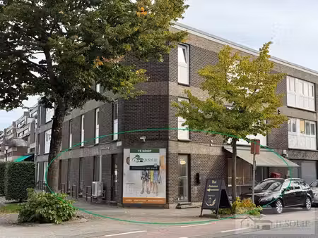 jesolie ‘geworteld in vastgoed’