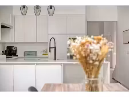 instapklaar en energiezuinig wonen in bissegem!