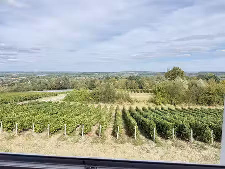 vue panoramique - sancerre