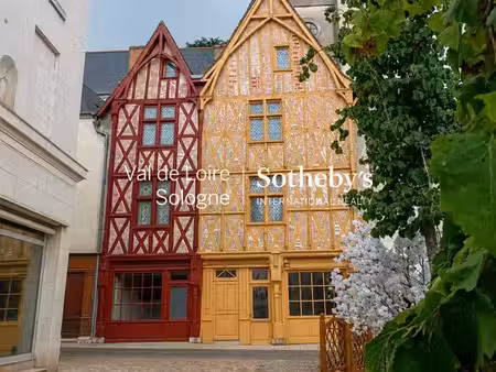 maison montrichard - 4 chambres - 236m²