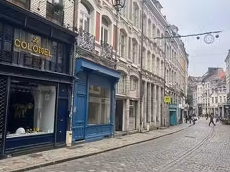 prestigieux immeuble de rapport en vente à lille  france