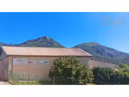 vente immeuble 6 pièces 158 m² à la motte-du-caire (04250)  236 500 €