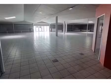 location local d’activités fagnieres 51510 600m²