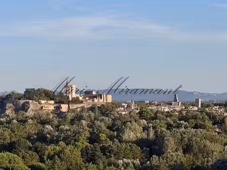 avignon intra-muros  proche palais des papes  bien d'exception a