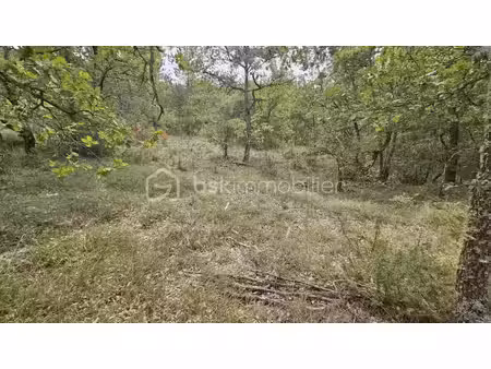vente terrain 75795 m² à oraison (04700)  28 500 €