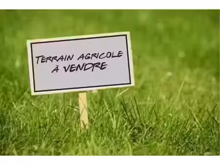 vente terrain 4677 m² à peschadoires (63920)  13 500 €