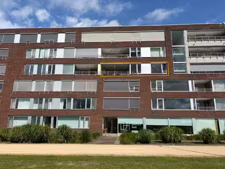 appartement te huur in rupelmonde met 3 slaapkamers