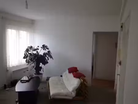 location appartement 1 pièce 30 m² à brest (29200)