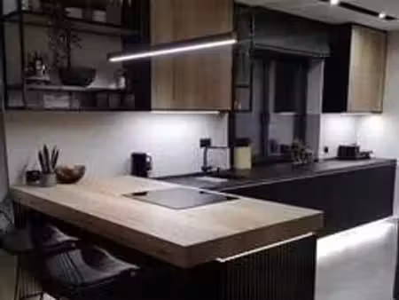 appartement de luxe de 66 m2 en vente fontenay-sous-bois  france