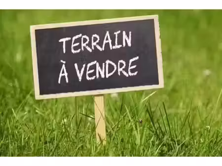 terrain