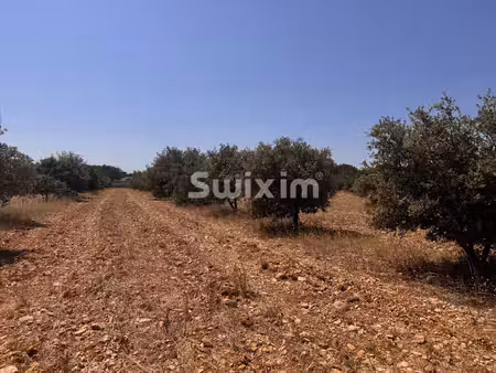 lot de terrains truffiers et de lavandes à proximité de grignan