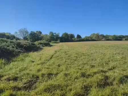 vente terrain 540 m² le pout (33670)