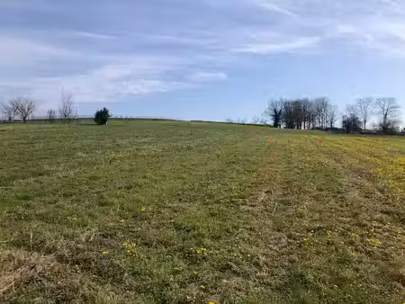 vente terrain 1074 m² saint-savin (33920)