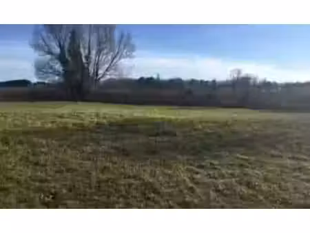vente terrain 1300 m² puisseguin (33570)
