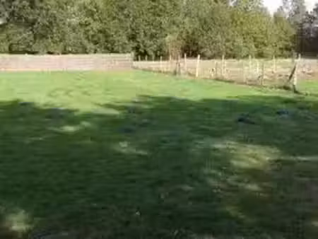 vente terrain 1500 m² pineuilh (33220)