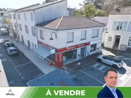 vente locaux professionnels 100 m² à smarves (86240)  99 000 €