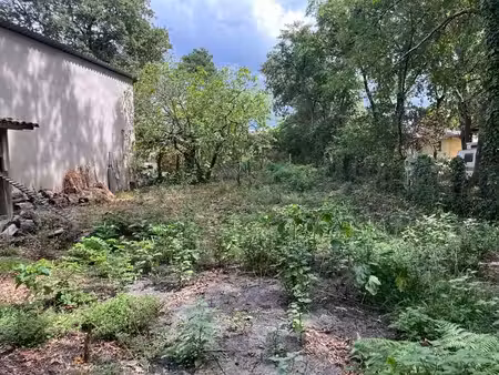 terrain