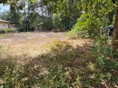 terrain