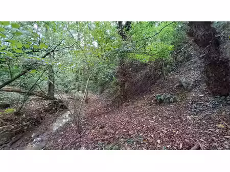 achat terrain poligne 35320