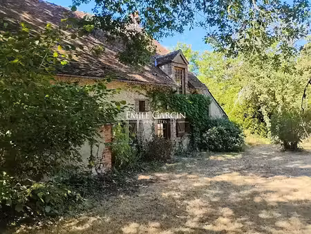 vente maison 8 pièces 250 m² à nogent-sur-vernisson (45290)  315 000 €