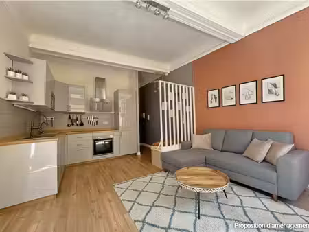 appartement t3 fonctionnel centre historique
