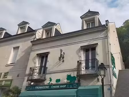 location appartement 4 pièces 111 m² à saint-aignan (41110)