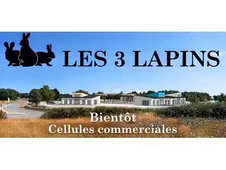 location commerce arzal 56190 200m²