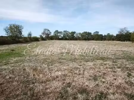 vente terrain à saint-lambert-la-potherie (49070) : à vendre / 21280m² saint-lambert-la-po