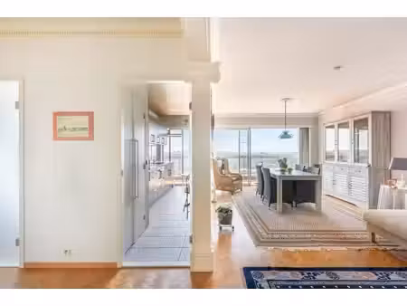 appartement met prachtig uitzicht op antwerpen