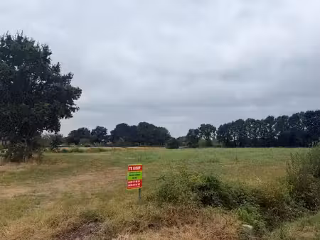 terrain à vendre à heist-op-den-berg € 87.000 (lriqc) - vastgoed de cat | zimmo
