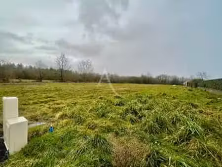 vente terrain à la marne (44270) : à vendre / 552m² la marne