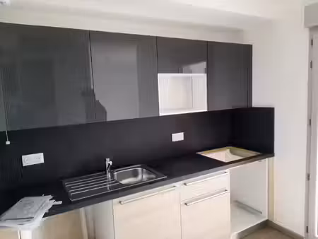 location appartement 2 pièces 45 m² à villeurbanne (69100)