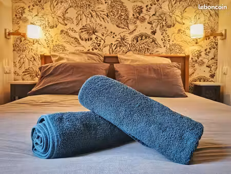 appartement meublé classé 5 étoiles– tout compris – vue sur la vienne – 980 /mois