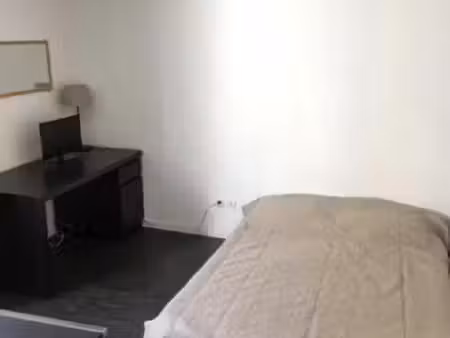 studio 1 pièce 20 m²