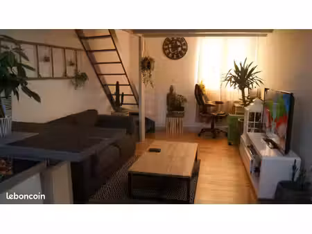 appartement t3 à louer