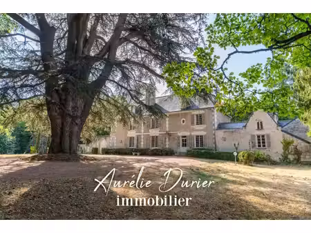 propriété anne madeleine à fondettes