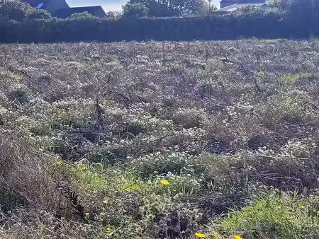 vente terrain 472 m² à guissény (29880)  67 000 €