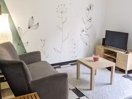 t3 meublé 50m² hypercentre espalion – bail mobilité (octobre à avril)