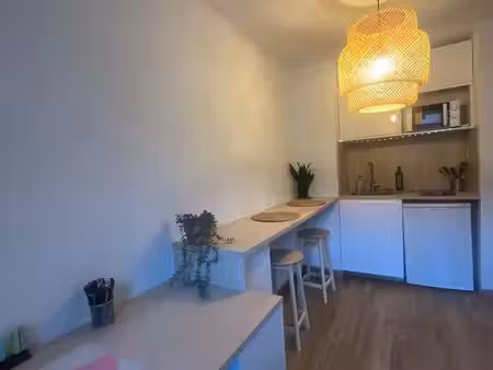 studio refait à neuf + stationnement sous sol proche fac manu des tabacs/tram fac bron