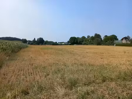 vente terrain 363 m² à pleudihen-sur-rance (22690)  78 000 €