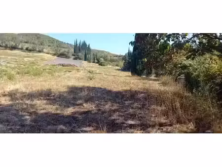 vente terrain 2579 m² à cascastel-des-corbières (11360)  77 000 €
