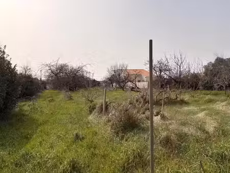 vente terrain 725 m² à bourcefranc-le-chapus (17560)  86 400 €