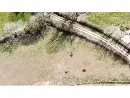vente terrain 3305 m² à sévérac-l'eglise (12310)  99 000 €