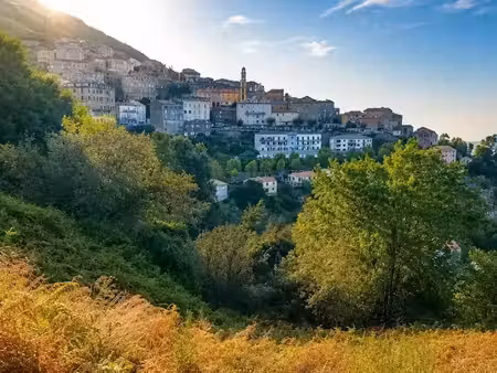 vente terrain 1600 m² à san-giuliano (20230)  120 000 €