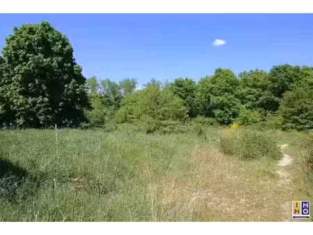 vente terrain à batir 24965 m² à vierzon (18100)  159 000 €